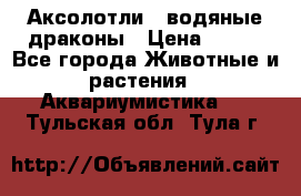 Аксолотли / водяные драконы › Цена ­ 500 - Все города Животные и растения » Аквариумистика   . Тульская обл.,Тула г.